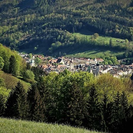 Appartement Kohlnberger Waidhofen an der Ybbs Exteriér fotografie