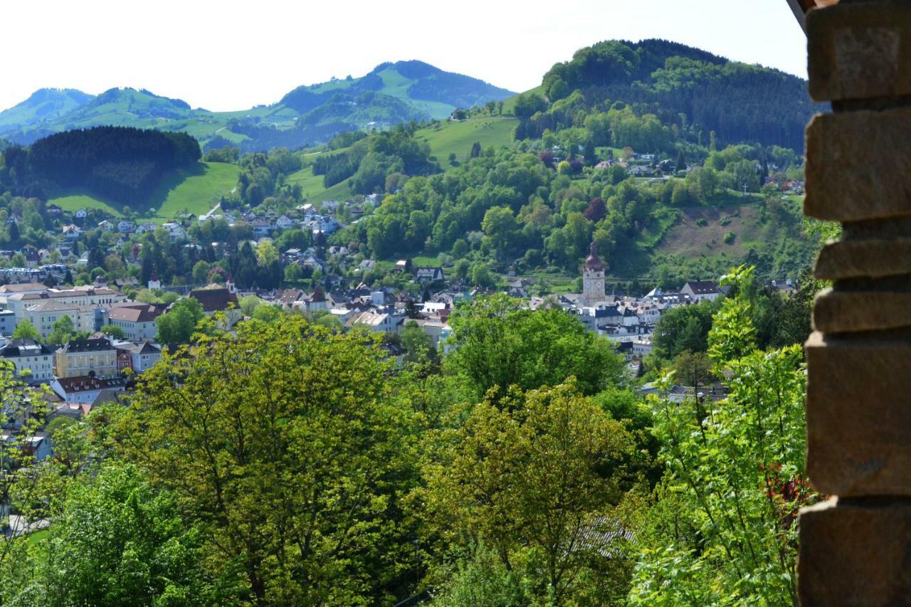 Appartement Kohlnberger Waidhofen an der Ybbs Exteriér fotografie