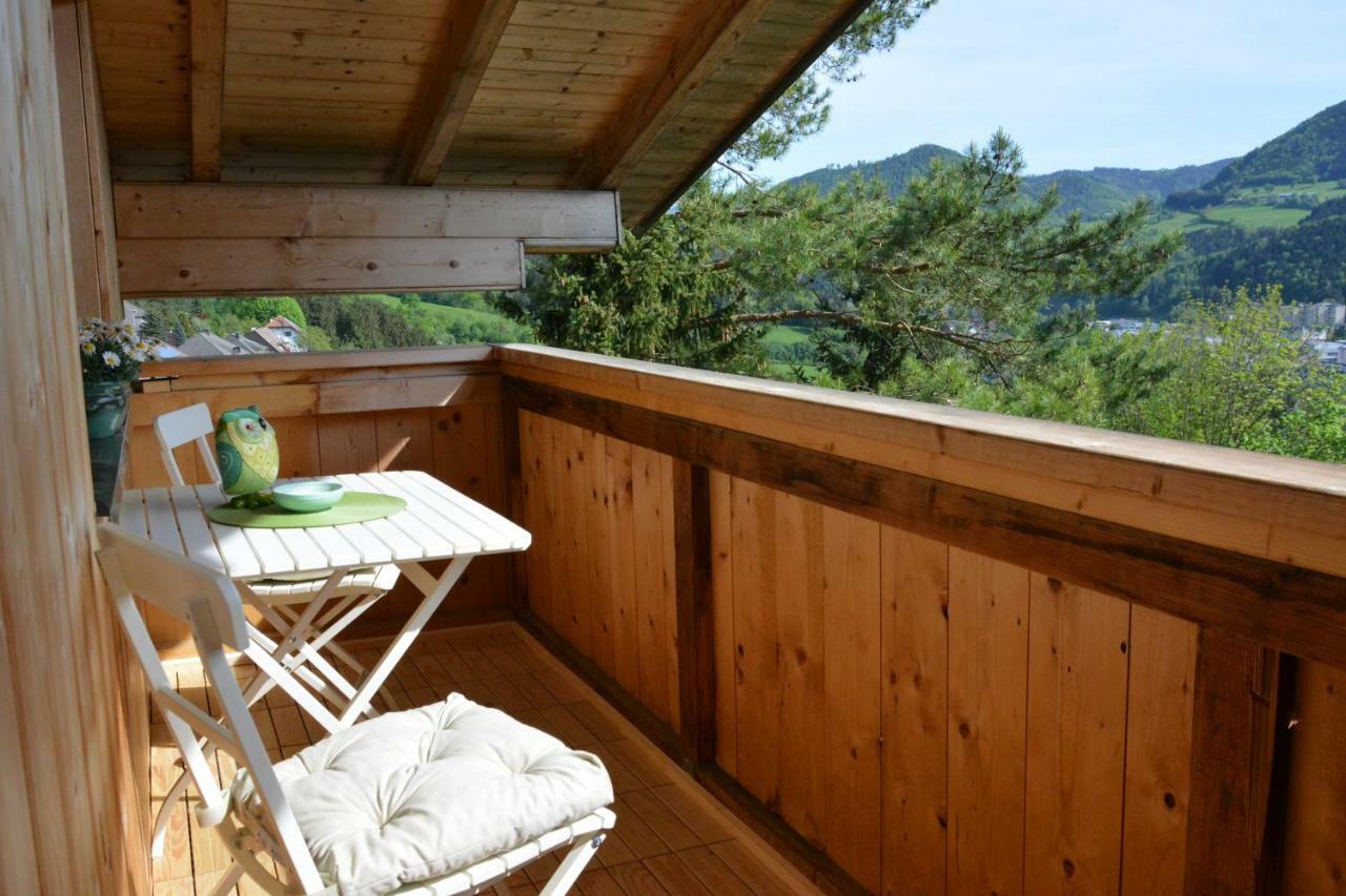 Appartement Kohlnberger Waidhofen an der Ybbs Exteriér fotografie