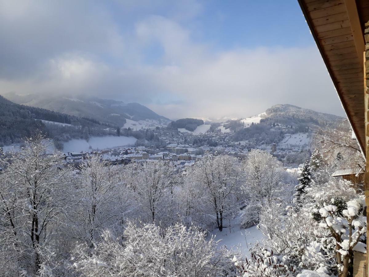 Appartement Kohlnberger Waidhofen an der Ybbs Exteriér fotografie