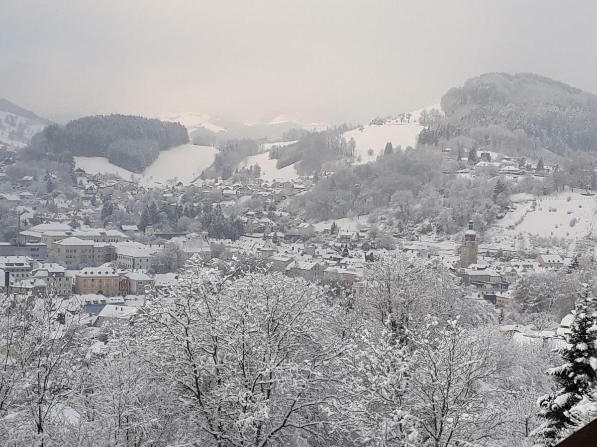 Appartement Kohlnberger Waidhofen an der Ybbs Exteriér fotografie